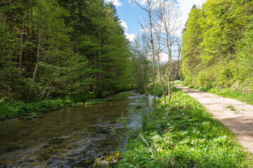 la Valserine, rivière sauvage