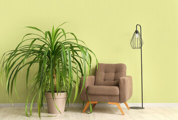 Houseplant near armchair and lamp in interior of living room