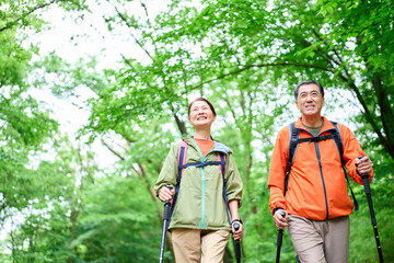  初夏の山でトレッキングするシニア夫婦