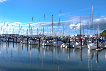 Boats and yachts in marina