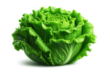 Fresh green lettuce head leafy veggies