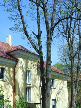 house in Amalienau, konigsberg (now kaliningrad, russia)