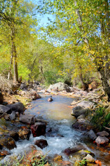 Uzbekistan Central Asia. Foothills of the Pamirs. A small waterfall on a mountain river