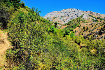 Uzbekistan mountain landscape. Foothills of the Pamirs.