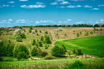 landscape of Ukraine