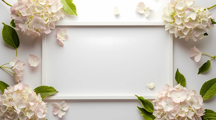 Blank space frame with hydrangea daisy flowers for mockup design, high quality white plain background