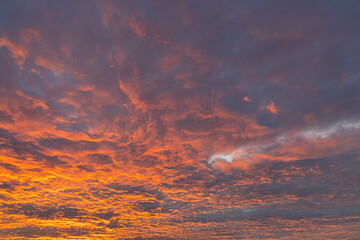 orange clouds at sunset in sky