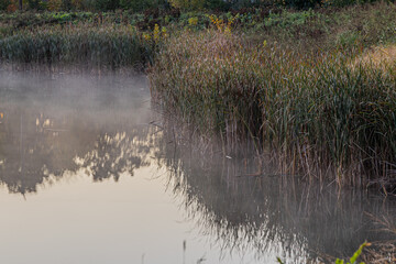low fog rises off pond