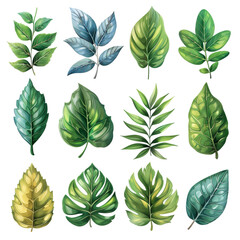 Hand-drawn green and yellow leaves in various shapes for botanical designs