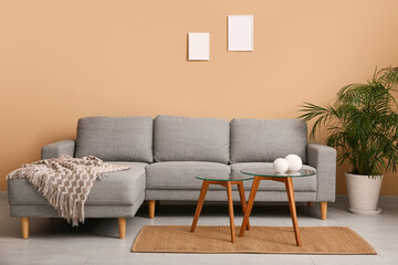 Comfortable sofa with coffee table in interior of living room