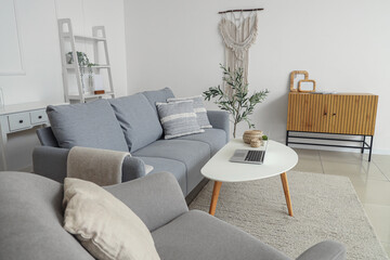Interior of stylish living room with cozy sofa, coffee table, chest of drawers and olive tree