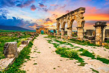 Volubilis, Morocco: Old street leading to the Arch of Caracall; Historical city of Roman Mauretania, North Africa