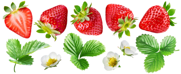 Set of ripe juicy strawberries, one of the berries is cut, there are strawberry leaves and flowers, isolated on a transparent background.