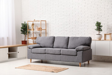 Comfortable sofa in interior of living room