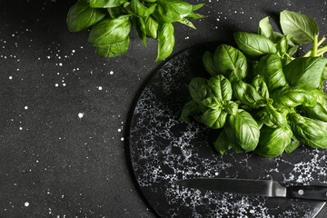 Board with fresh green basil leaves on black background