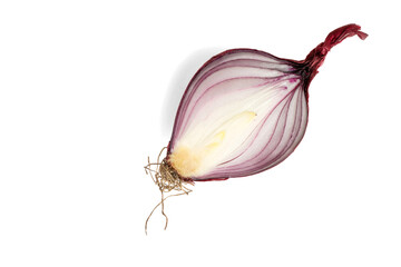 Close-up of a halved red onion showing layers on a white background