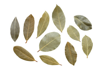 Dried bay leaves on white background.