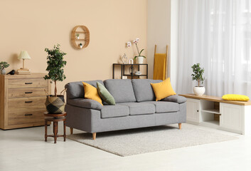 Stylish interior of living room with cozy sofa, houseplant and wooden chest of drawers