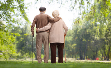 Rear view shot of a senior man and woman in embrace