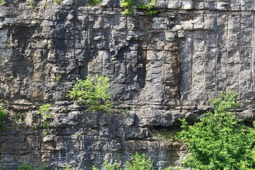 landscape natural stone wall view with plant from hotel motels window,nature background,wonderful...