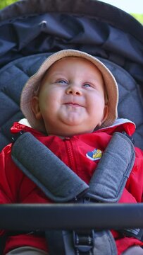 The baby is sitting in a stroller with seat belts.