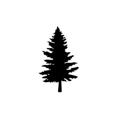 Pine Tree Silhouette