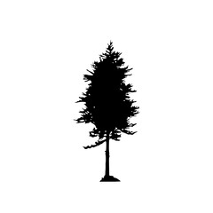 Fototapeta premium Pine Tree Silhouette Vector Clipart. 