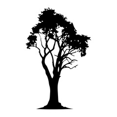 Obraz premium Tree Silhouette Vector Clipart 
