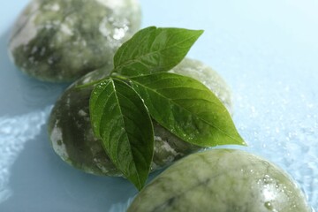 Spa stones and green leaves in water on light blue background, closeup