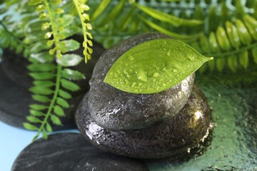 Wet spa stones and green leaf in water on light blue background