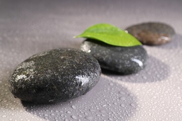 Wet spa stones and green leaf on grey background