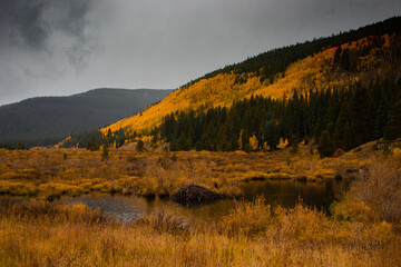The Rocky Mountains (Colorado, USA) on a dreary, cloudy, overcast autumn day with yellow aspen trees