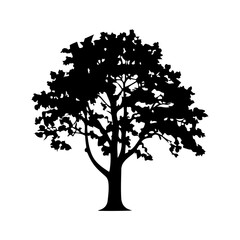 Tree Silhouette Vector Clipart
