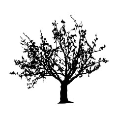 Obraz premium Tree Silhouette Vector Clipart
