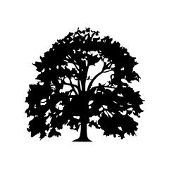 Fototapeta premium Tree Silhouette Vector Clipart