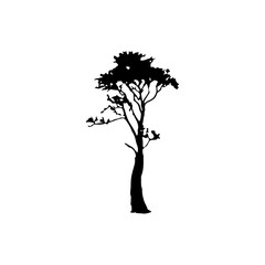 Tree Silhouette Vector Clipart	
