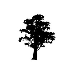 Fototapeta premium Tree Silhouette Vector Clipart 