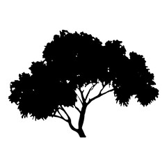 Fototapeta premium Tree Silhouette Vector Clipart 