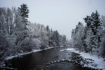 A Rocky Mountain (Summit County, Colorado, USA) stream on a winter day with snow covered trees