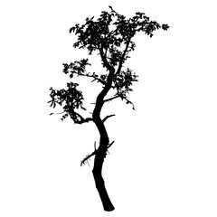 Tree Silhouette Vector Clipart.