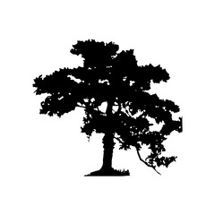 Fototapeta premium Tree Silhouette Vector Clipart.