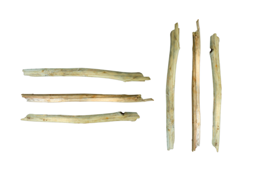 Dry sticks peeled from bark, graphics building material for numeral letters or Roman numerals - on isolated transparent background.