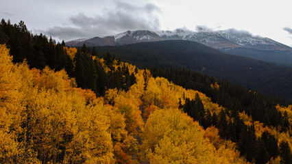 A drone shot of colorful yellow and orange aspen trees on an autumn day in the Rocky Mountains (Summit County, Colorado, USA)