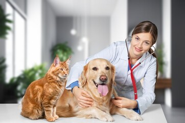 Smiling vet doctor with dog pet and fluffy cat