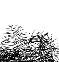 Silhouette palm leaves. hand drawing. Not AI, Vector illustration