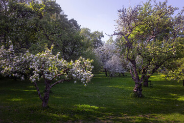 Spring at Linderud Mansion