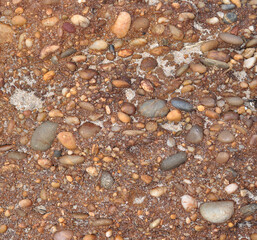 Surface texture of a rock with small sea stones clinging to it by erosion, beach sand spread across the surface of the stone
