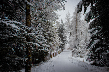 A snow covered riverwalk in Summit County, Colorado