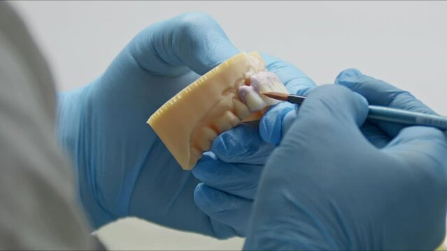Painting Dentures According to Palate Color in the Prosthetic Dental Laboratory Footage.