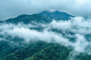 Obraz premium Misty Mountain Forest Landscape